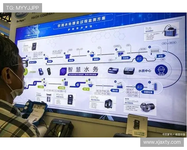 重庆排球队的节奏革新探索与发展之路全面解析